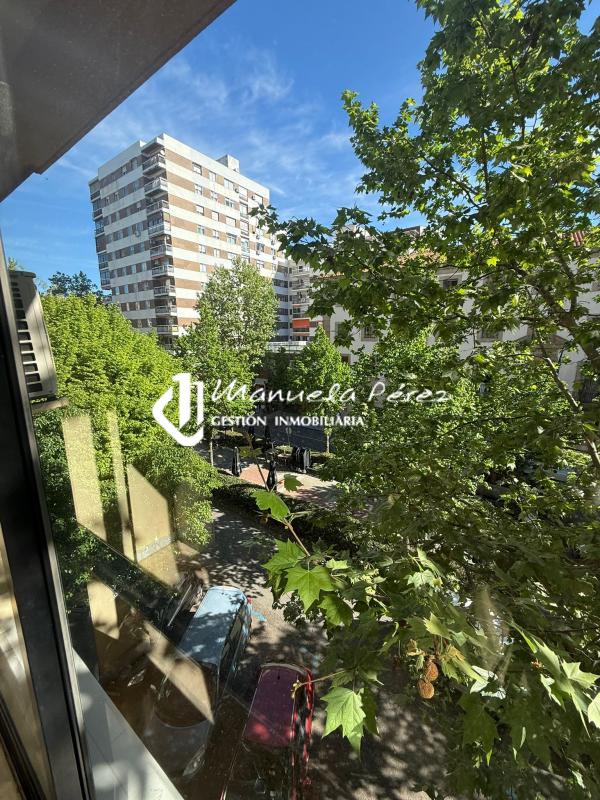 Alquiler de oficina en Avenida Virgen de la Montaña. Cáceres