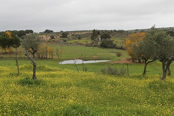 PARCELAS en VENTA 16