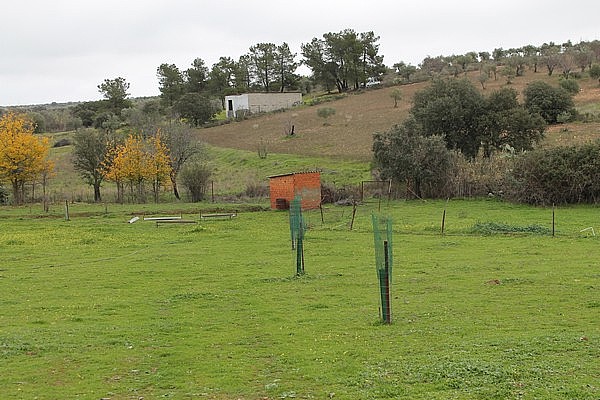 PARCELAS en VENTA 17