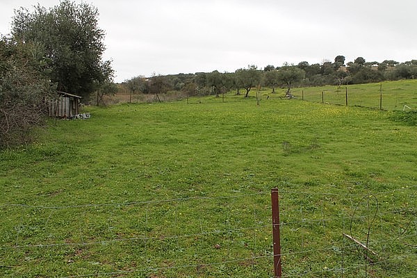 PARCELAS en VENTA 25