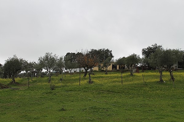 PARCELAS en VENTA 27