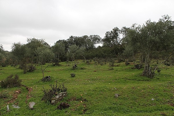 PARCELAS en VENTA 31