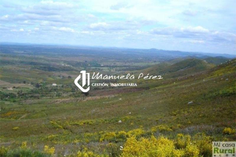 VENTA DE CASA EN ALDEA DE ACEÑA DE LA BORREGA. VALENCIA DE ALCANTARA. CÁCERES 7