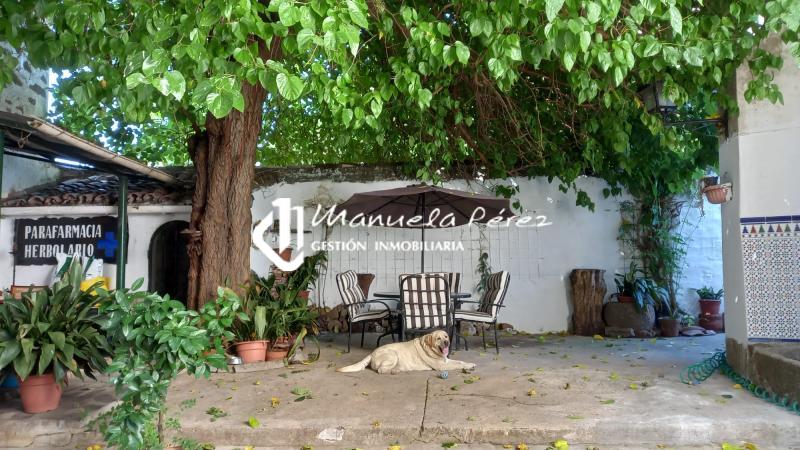 Venta de Casa en Brozas, Cáceres 4