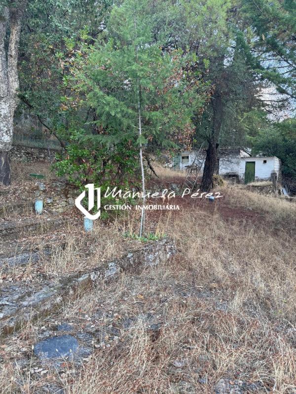 Venta de Casa en Sierra de la Mosca. Cáceres 3