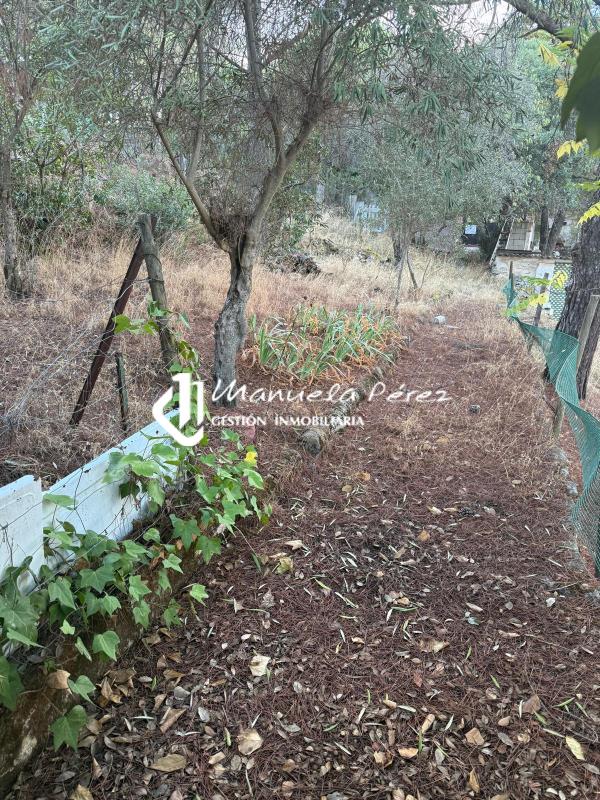 Venta de Casa en Sierra de la Mosca. Cáceres 7