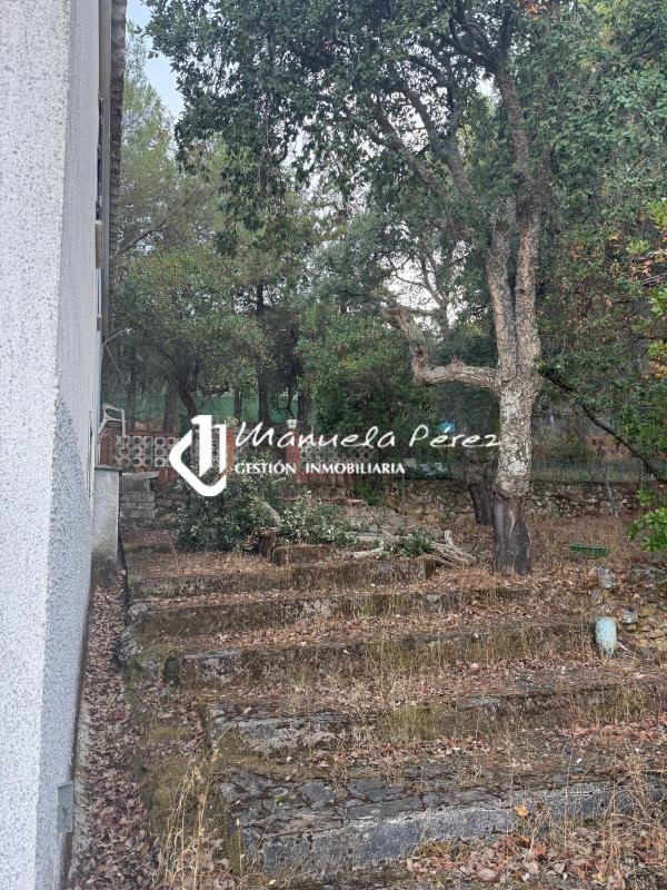 Venta de Casa en Sierra de la Mosca. Cáceres 4