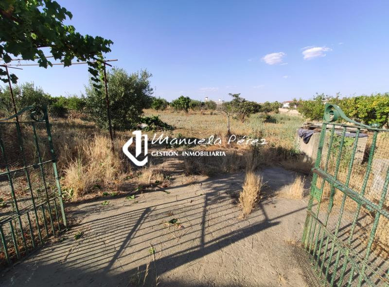 Venta de Chalet en Torremocha, Cáceres 4