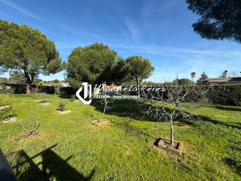 Venta de chalet en Viñas de la Mata. Casar de Cáceres. Cáceres 9