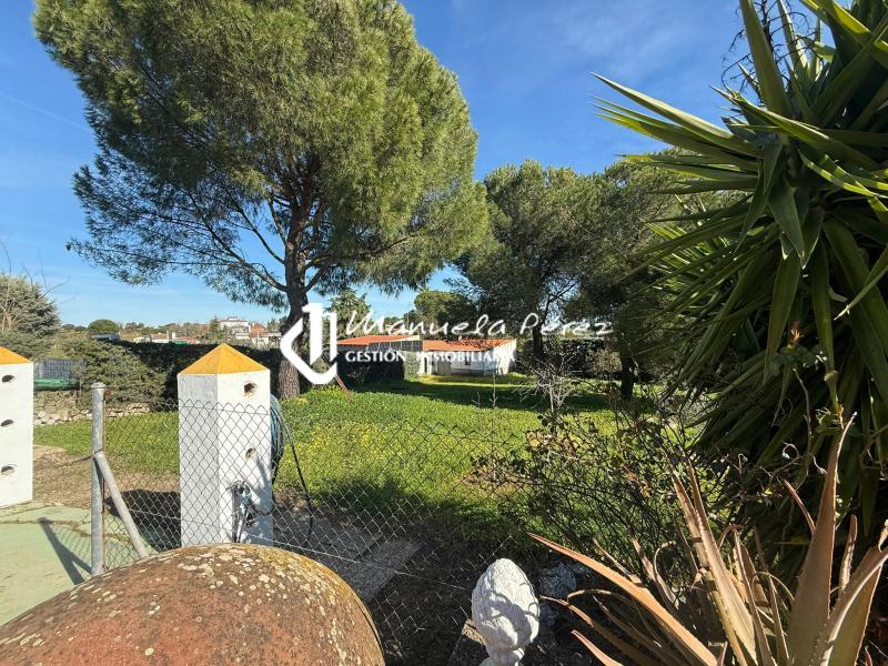 Venta de chalet en Viñas de la Mata. Casar de Cáceres. Cáceres 13