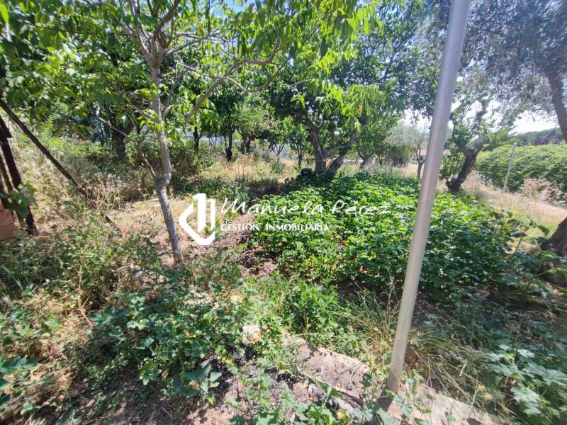 Venta de Parcela con construcciones en Sierra de Fuentes 24