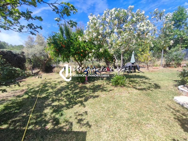 Venta de Parcela con construcciones en Sierra de Fuentes 26