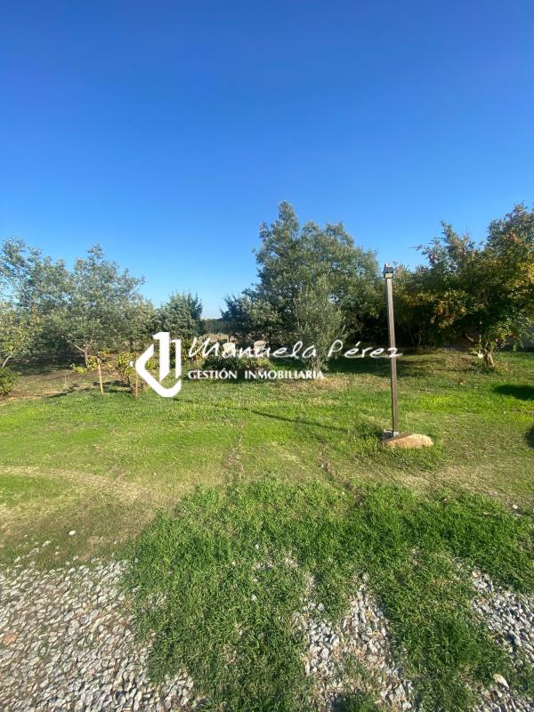 Venta de parcela con vivienda en Sierra de Fuentes. Cáceres 17