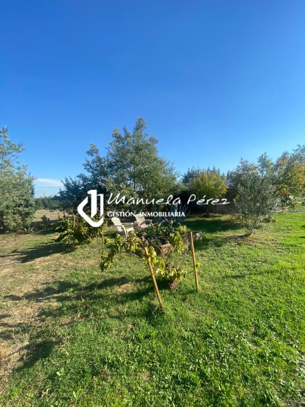 Venta de parcela con vivienda en Sierra de Fuentes. Cáceres 12