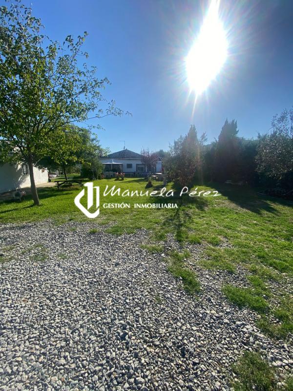 Venta de parcela con vivienda en Sierra de Fuentes. Cáceres 19