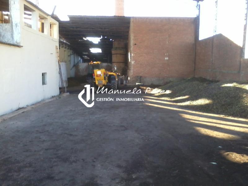 Venta de Parcela Industrial en el Polígono de Aldea Moret 6