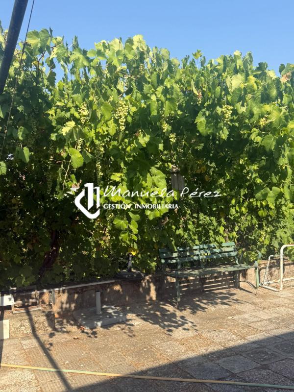 Venta de parcela urbana en Monte del Casar. Casar de Cáceres. Cáceres 14