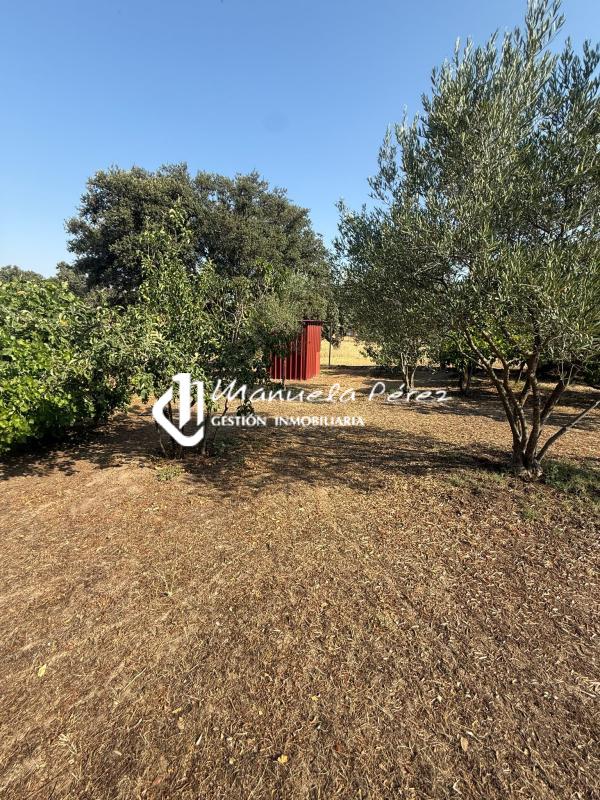 Venta de parcela urbana en Monte del Casar. Casar de Cáceres. Cáceres 10