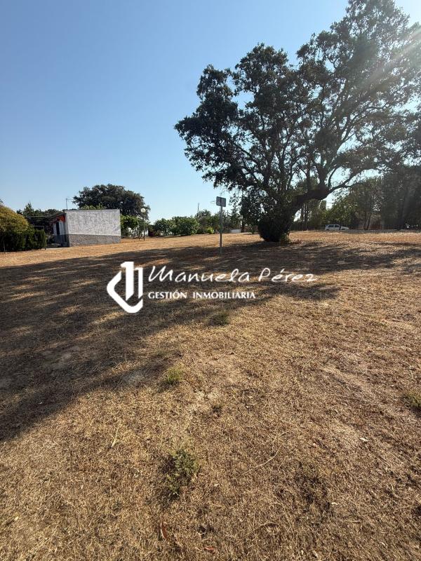 Venta de parcela urbana en Monte del Casar. Casar de Cáceres. Cáceres 11