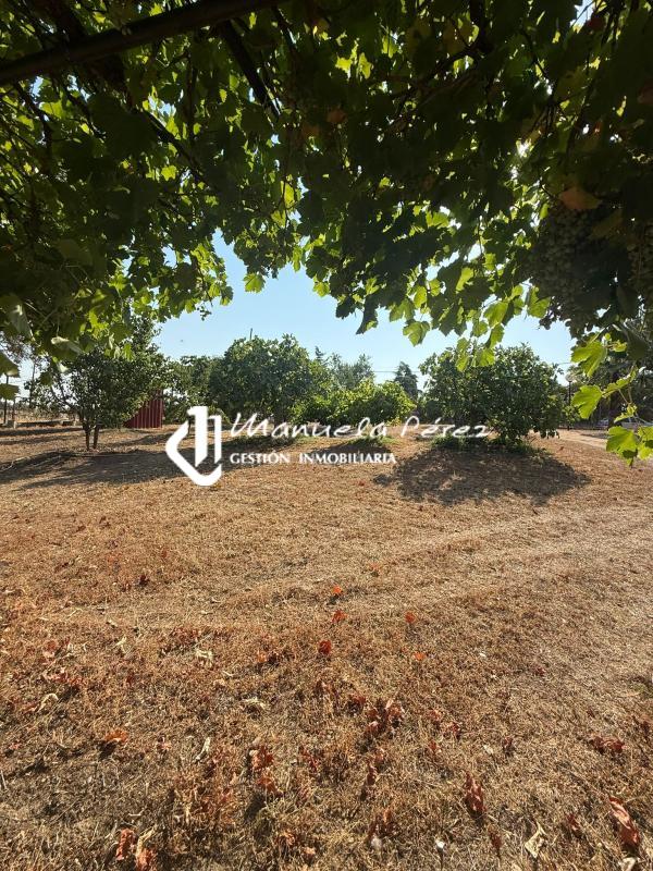 Venta de parcela urbana en Monte del Casar. Casar de Cáceres. Cáceres 6