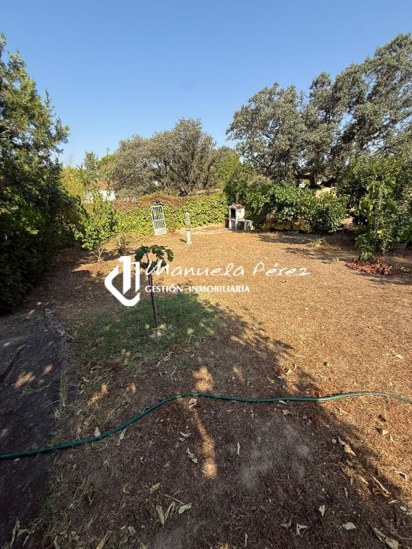 Venta de parcela urbana en Monte del Casar. Casar de Cáceres. Cáceres 4