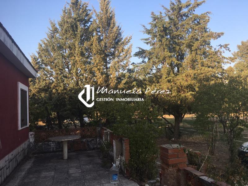 Venta de Parcela y Vivienda en Torreorgaz 22