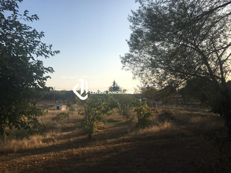 Venta de Parcela y Vivienda en Torreorgaz 21