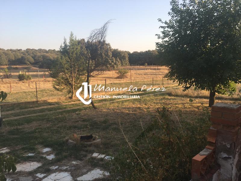 Venta de Parcela y Vivienda en Torreorgaz 23