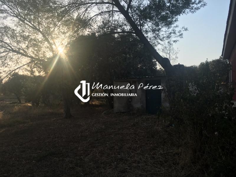 Venta de Parcela y Vivienda en Torreorgaz 3