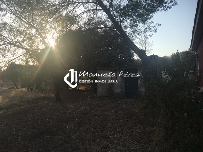 Venta de Parcela y Vivienda en Torreorgaz 2