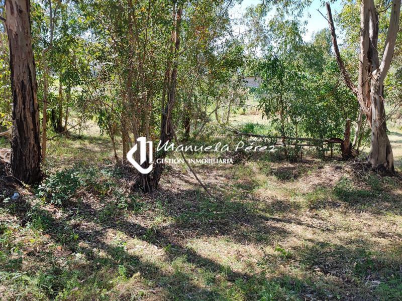 Venta de Parcelas en Proserpina, Mérida 4