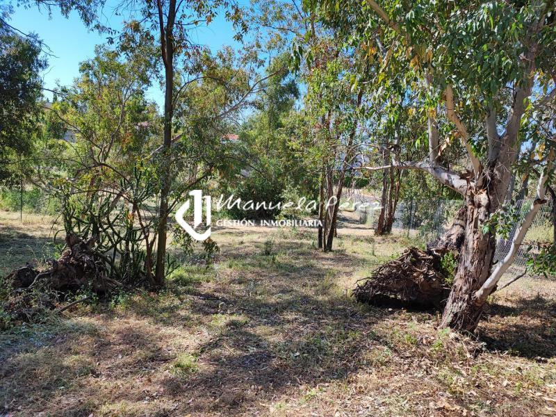 Venta de Parcelas en Proserpina, Mérida 5