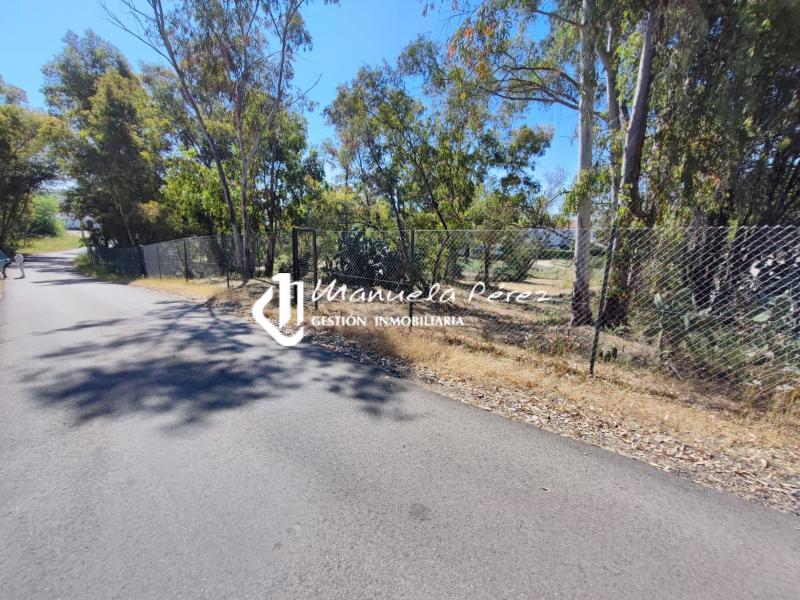 Venta de Parcelas en Proserpina, Mérida 3