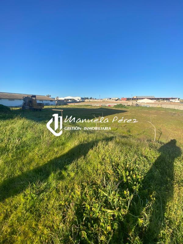 Venta de terreno con casa en Polígono Ganadero, Cáceres 5