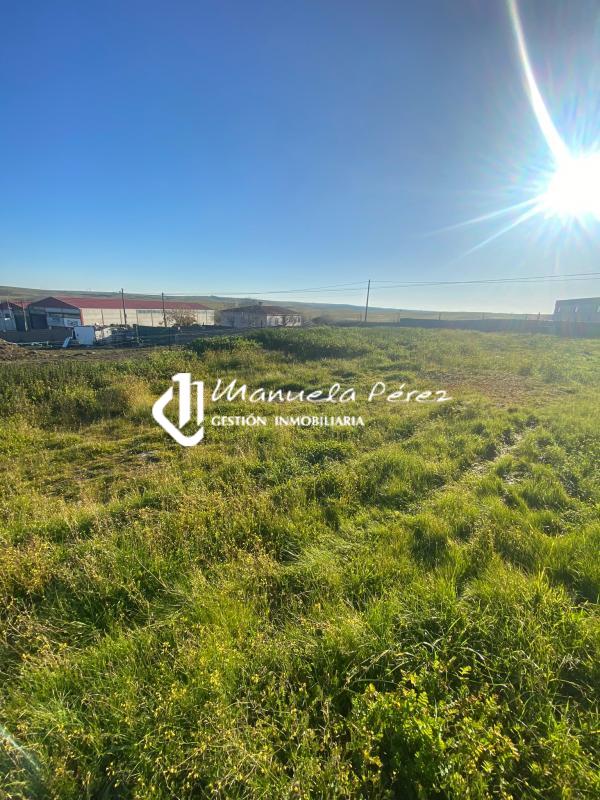 Venta de terreno con casa en Polígono Ganadero, Cáceres 8